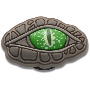 Crocodile Eye