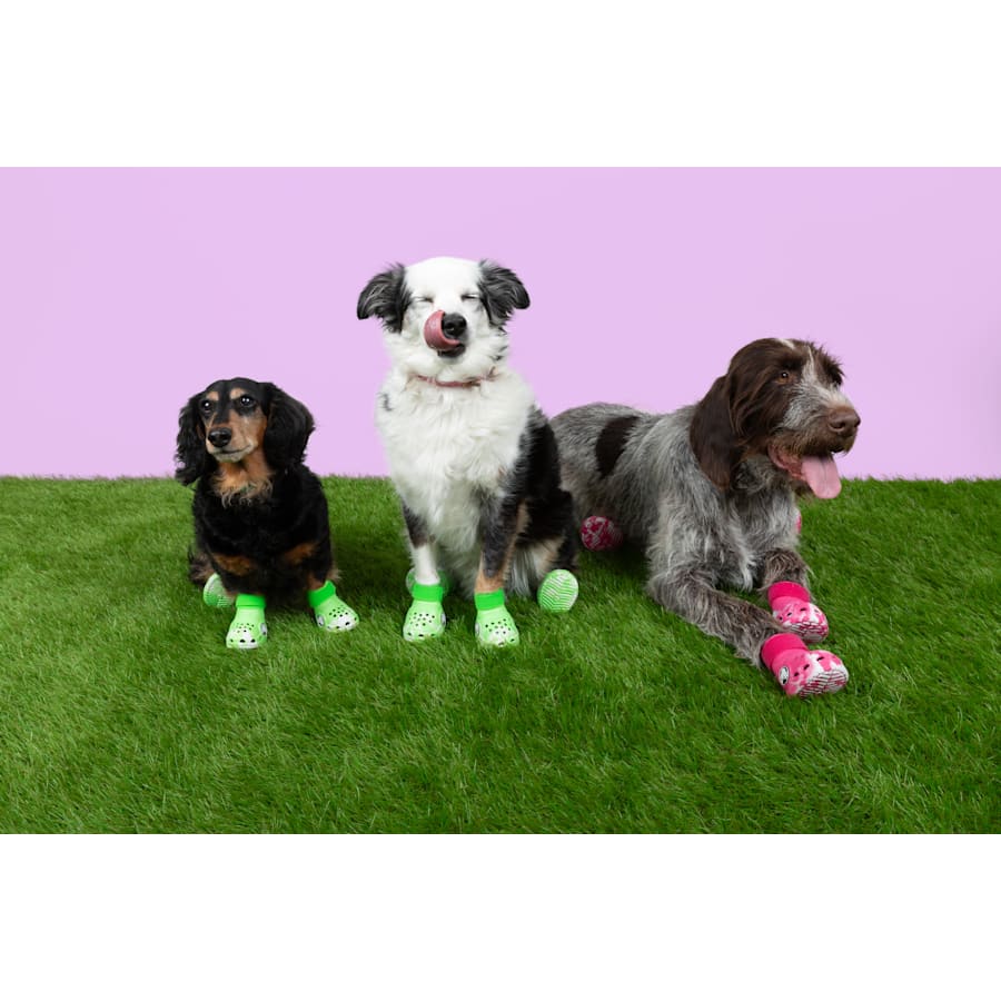 Pet Crocs Boots - Image 2